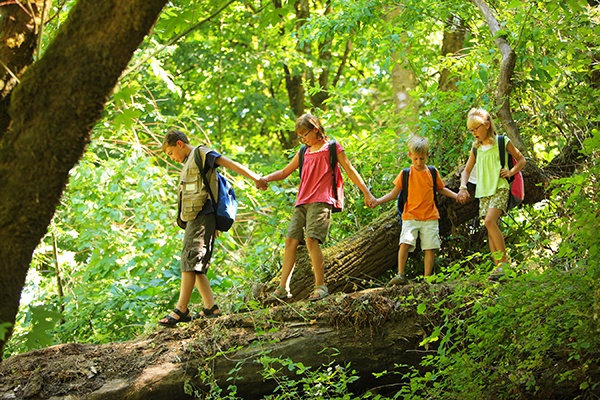 kids exploring forest